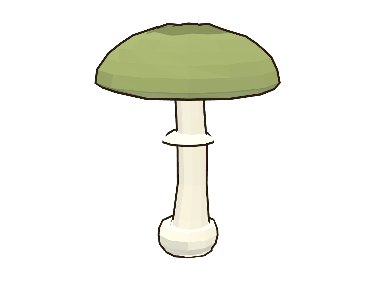 Death cap (Amanita phalloides)