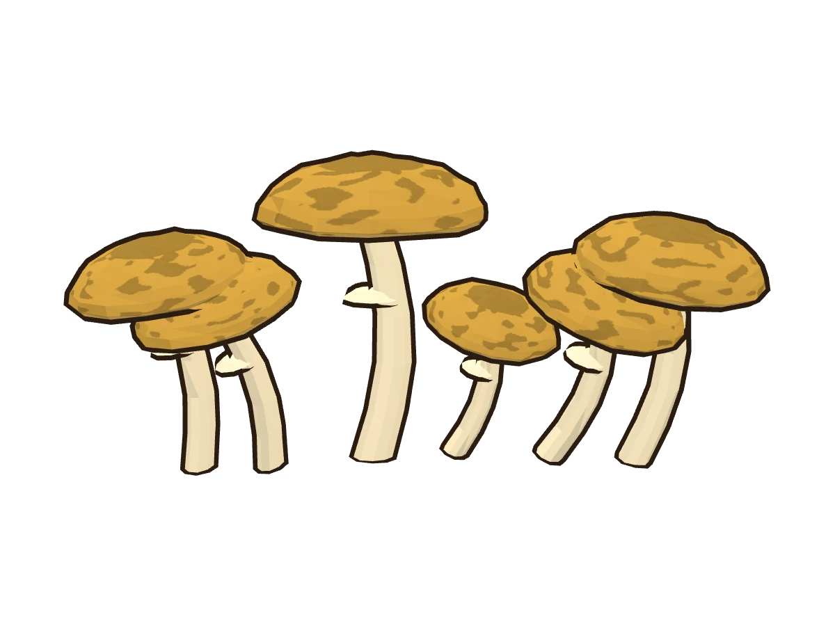 Armilaria de miel (Armillaria mellea)