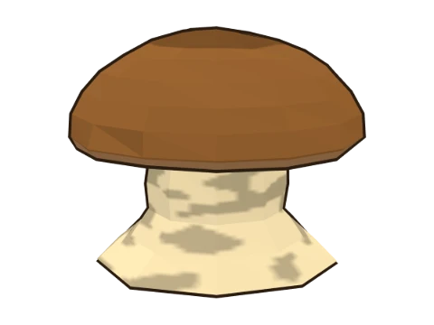 Porcini