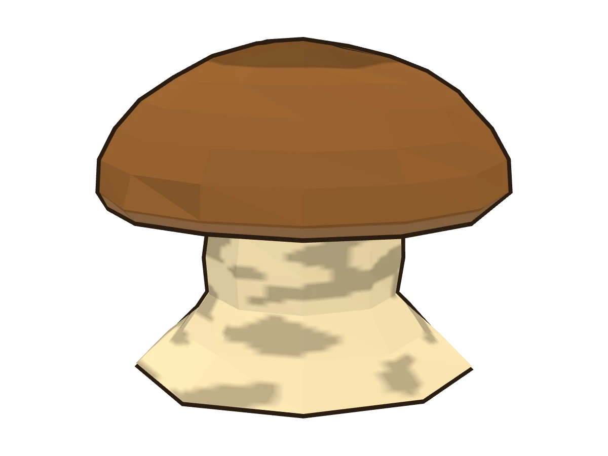 Boleto (Boletus edulis)