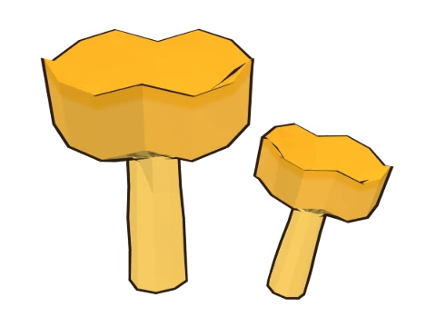 Golden chanterelle