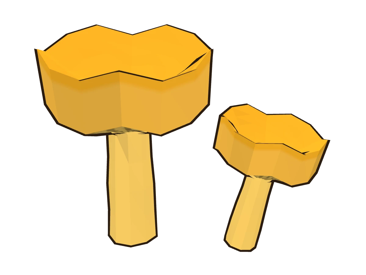 Golden chanterelle (Cantharellus cibarius)