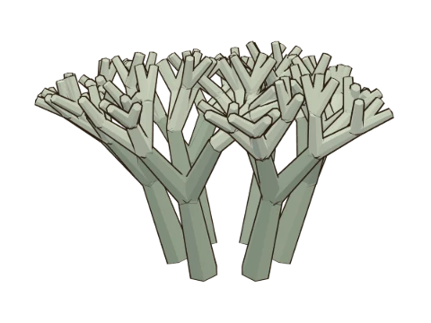 Reindeer lichen