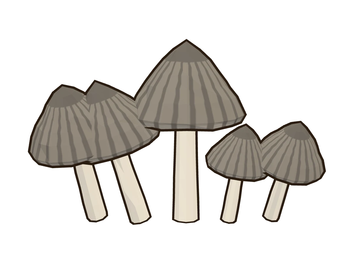 Coprino entintado (Coprinopsis atramentaria)
