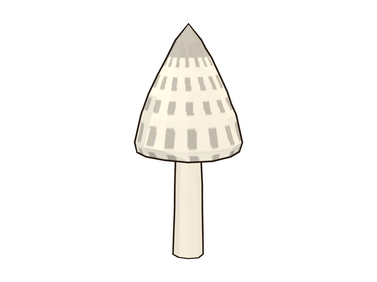 Barbuda (Coprinus comatus)