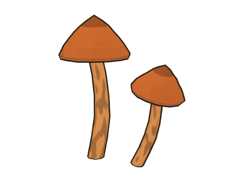 Deadly webcap
