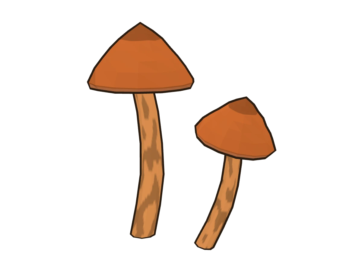 Cortinario rojizo (Cortinarius rubellus)