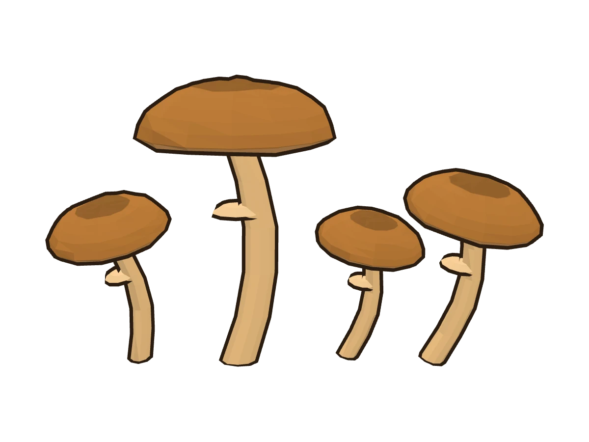 Funeral bell (Galerina marginata)