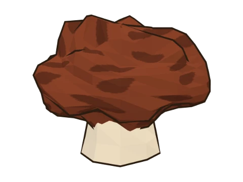 False morel