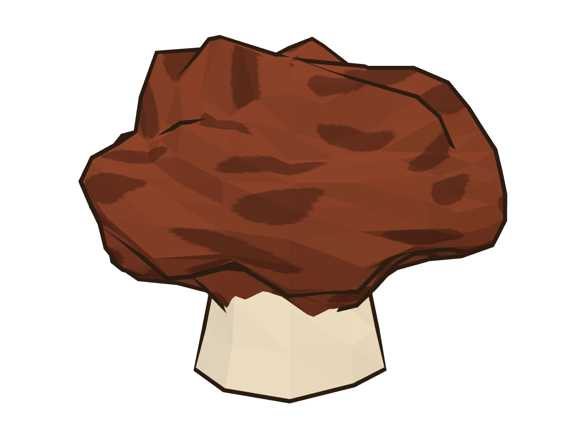 False morel (Gyromitra esculenta)