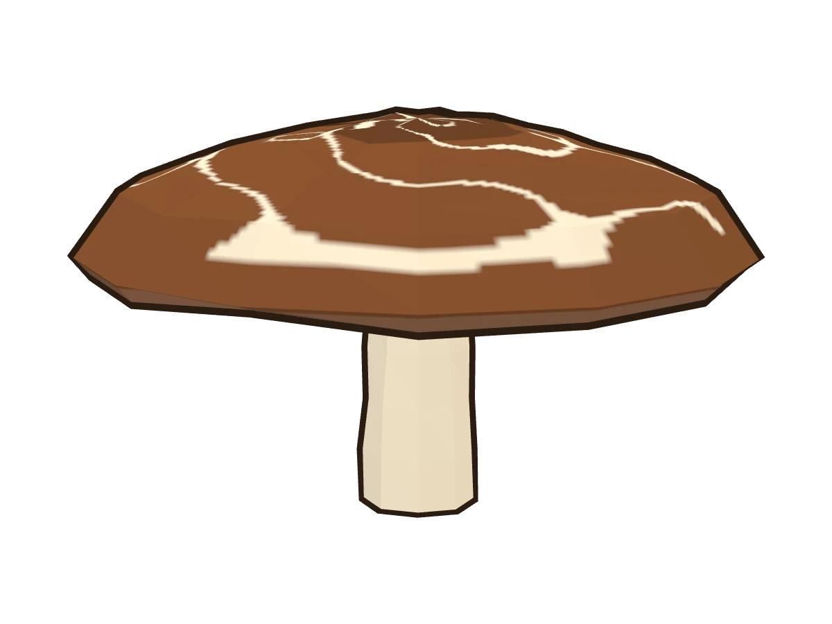 Shiitake (Lentinula edodes)