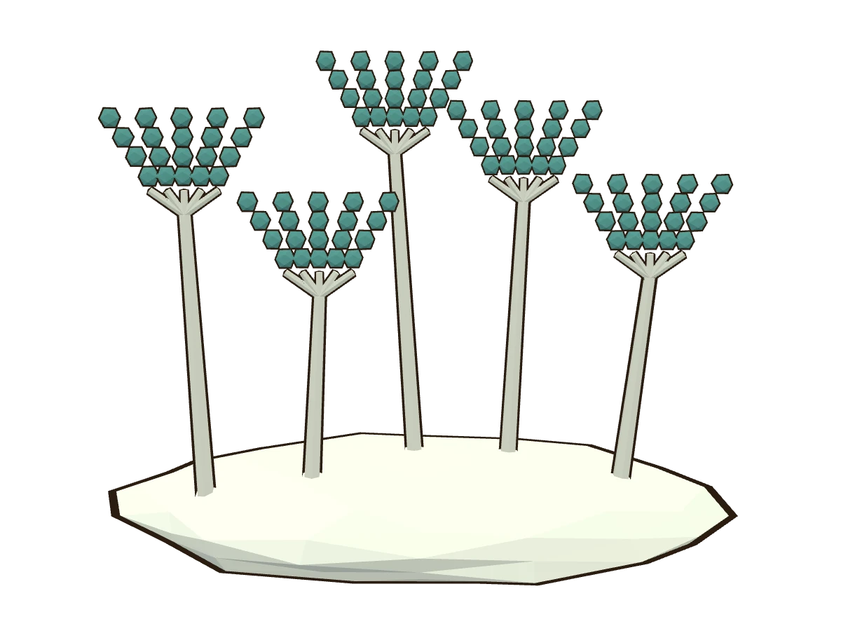 Penicillin mould (Penicillium chrysogenum)
