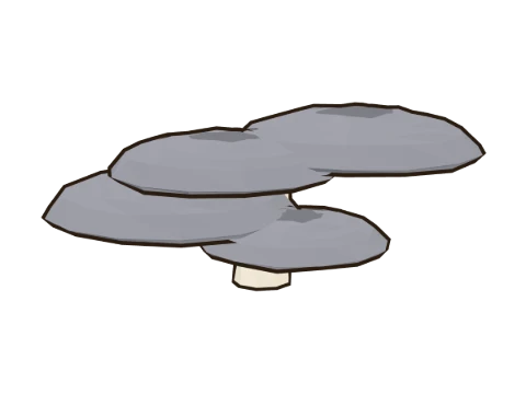 Oyster mushroom