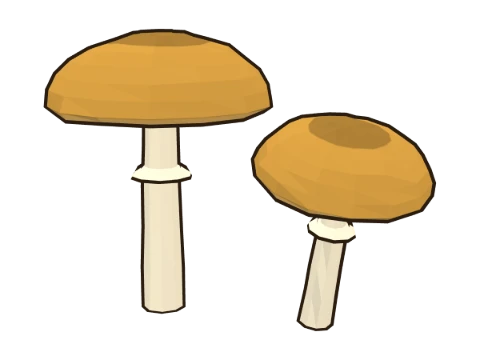 Golden teacher