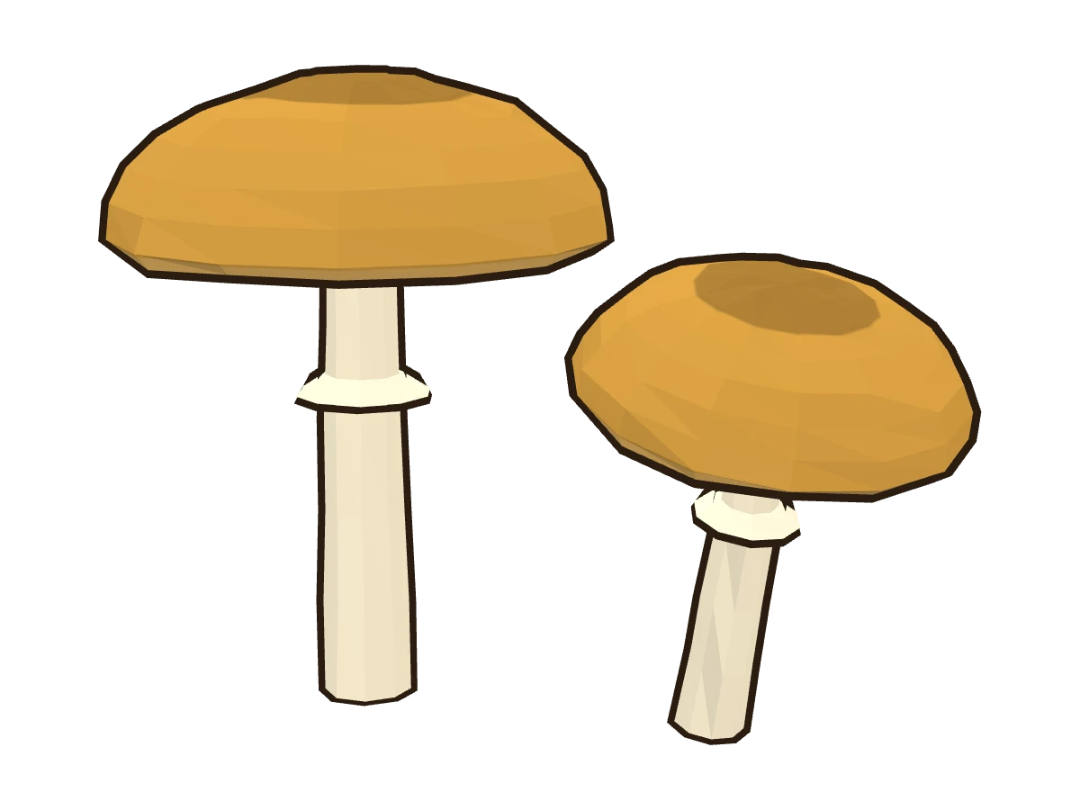 Cucumelo (Psilocybe cubensis)
