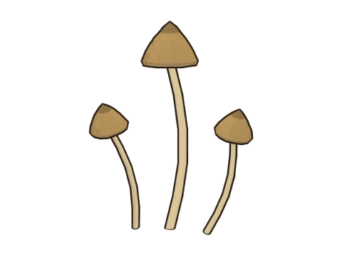 Liberty cap