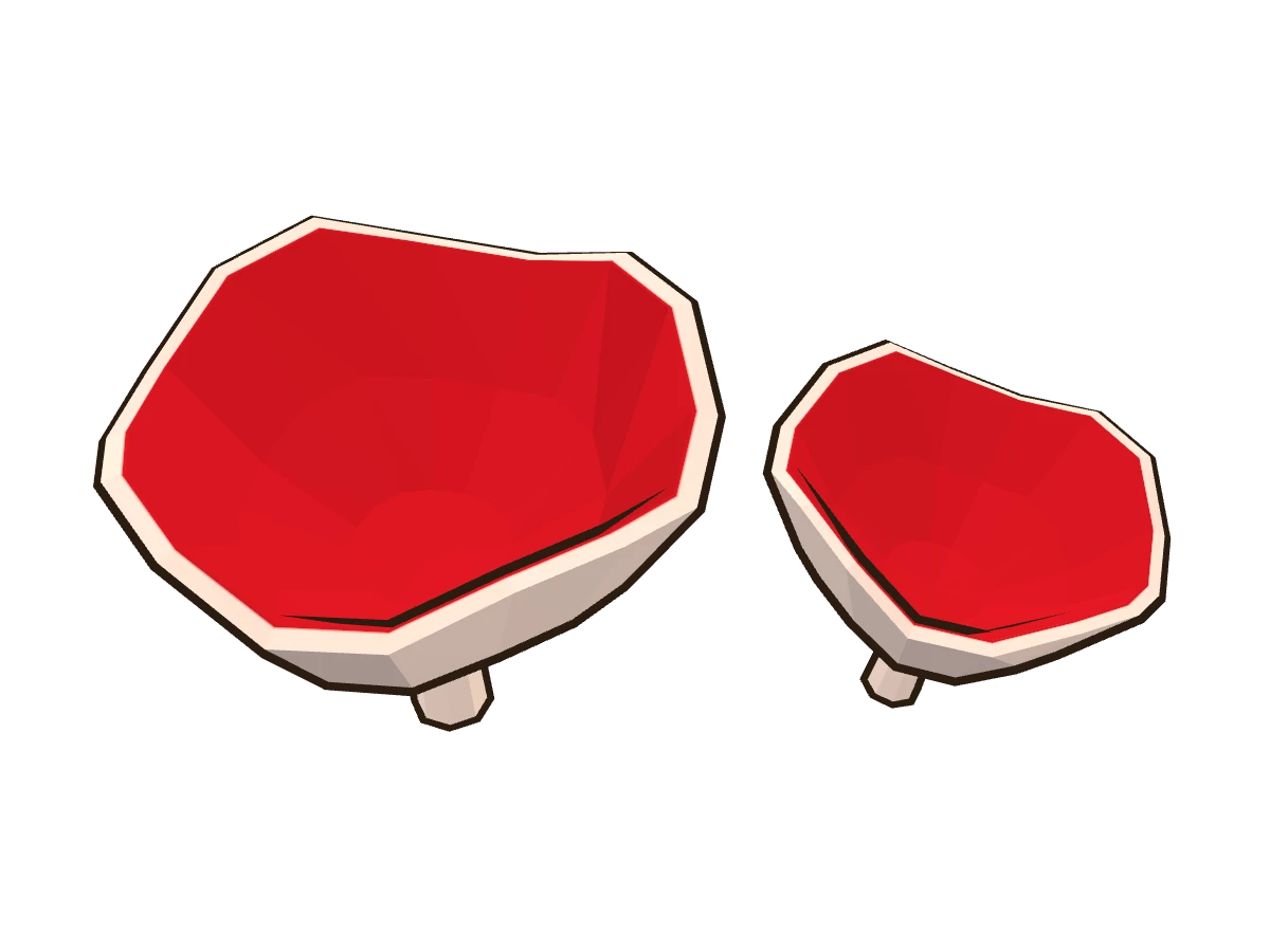 Copa escarlata (Sarcoscypha coccinea)