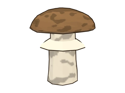 Matsutake