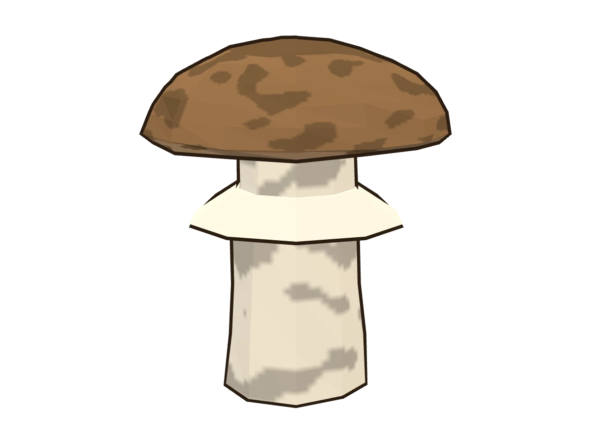 Matsutake (Tricholoma matsutake)