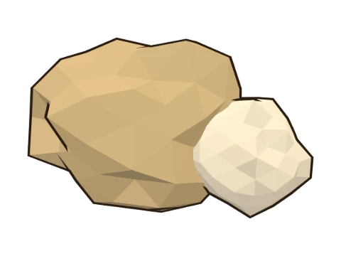 White truffle