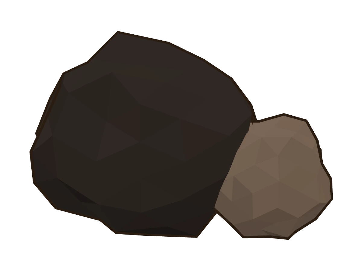 Périgord truffle (Tuber melanosporum)